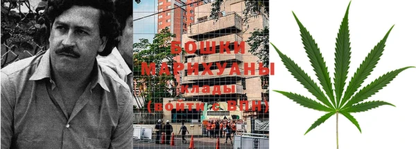 прущие крисы Инта