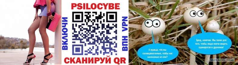 Псилоцибиновые грибы Psilocybe  OMG ССЫЛКА  Камбарка 